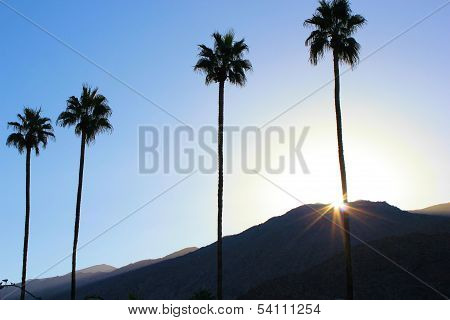 Palm Springs Sunset