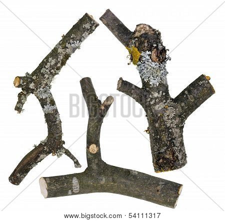 Mossy Home