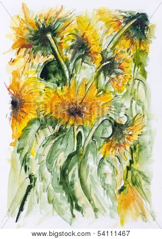 Sunflowers Field