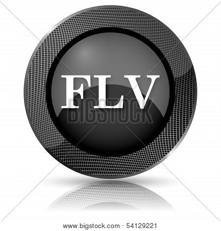 Flv Icon