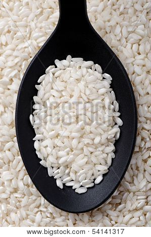 Carnaroli Rice