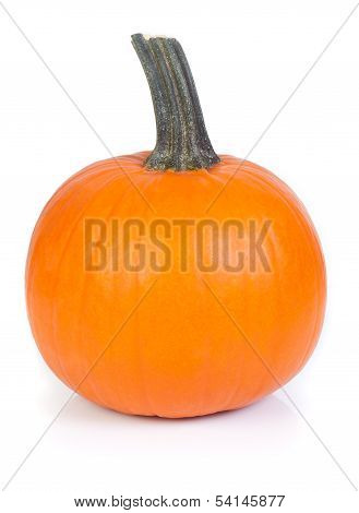 Fresh Ecological Pumpkin