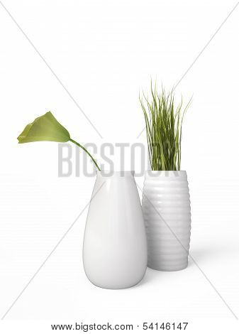 House plant Isolated over white