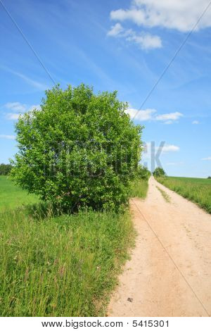 Gyönyörű nyári táj