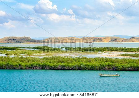 Mangroves And Boat