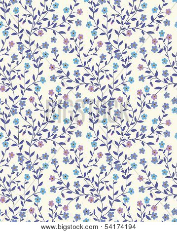 Forget-me-not