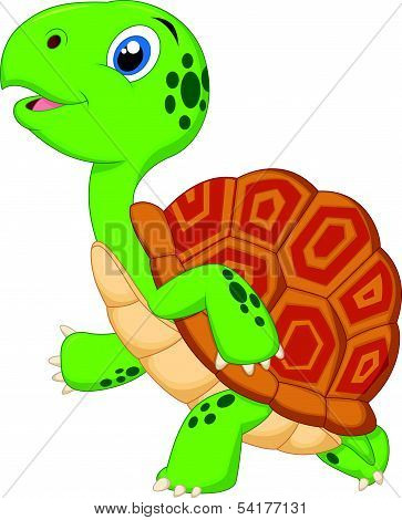 Cute turtle cartoon running