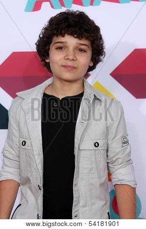 LOS ANGELES - NOV 17:  Cameron Ocasio at the TeenNick Halo Awards at Hollywood Palladium on November 17, 2013 in Los Angeles, CA