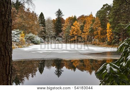 Scotland, water garden in November