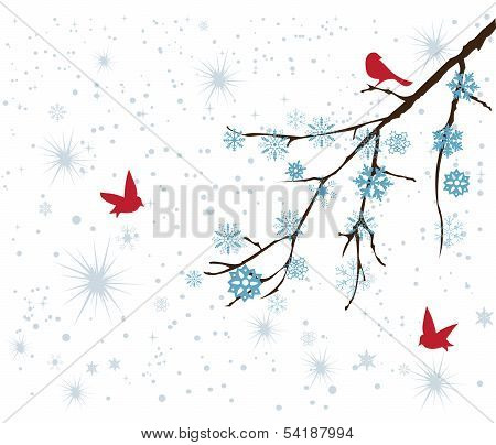 Snow Branch
