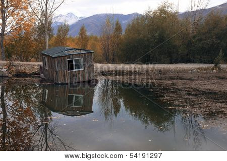 Cabins