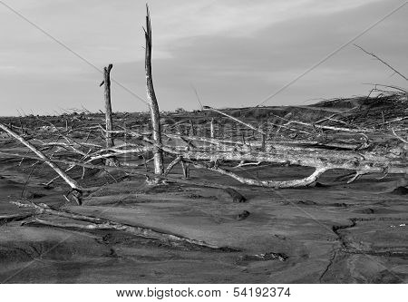 Area Damaged by Volcano Eruption 2010