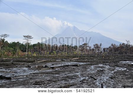 Area flattened, burned forest and active volcano mount merapi as background