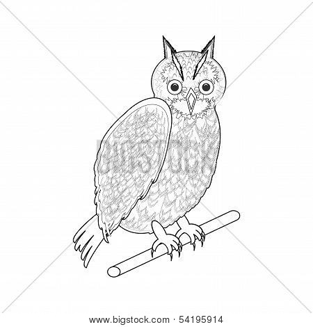 A Monochrome Sketch Of An Owl