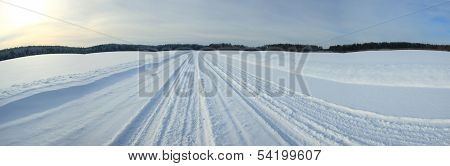 winter landscape