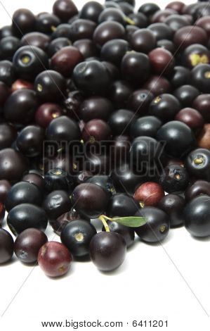 zeytin