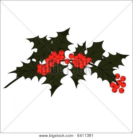 Holly Sprig