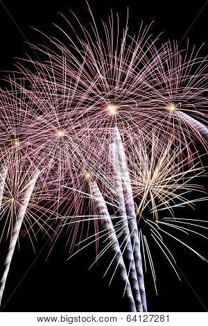 Palm Tree Fireworks