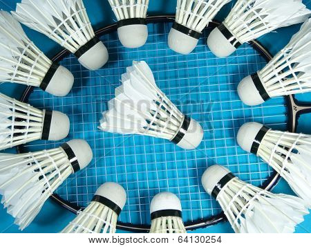 shuttlecocks on a badminton racket