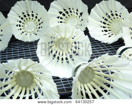 shuttlecocks on a badminton racket