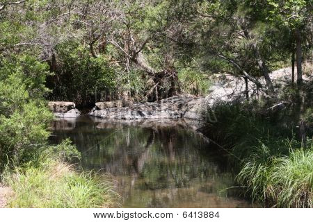 Mt Tamborine