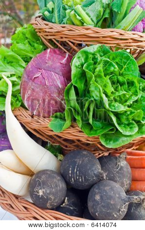 Basket full with Vegetables
