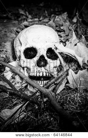 Lightpainted Skull