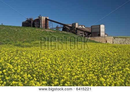 Factoria Con Flores
