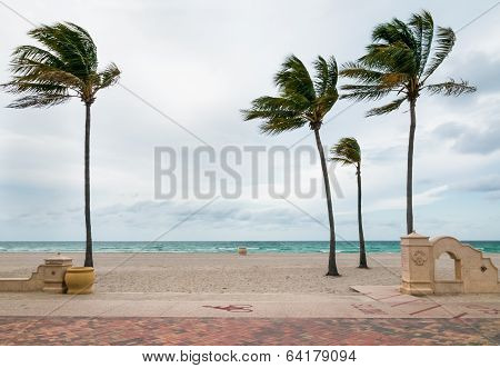 Hollywood beach, Florida