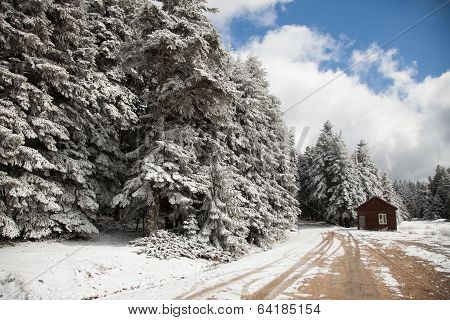 winter in the Bolu mountains, Turkey