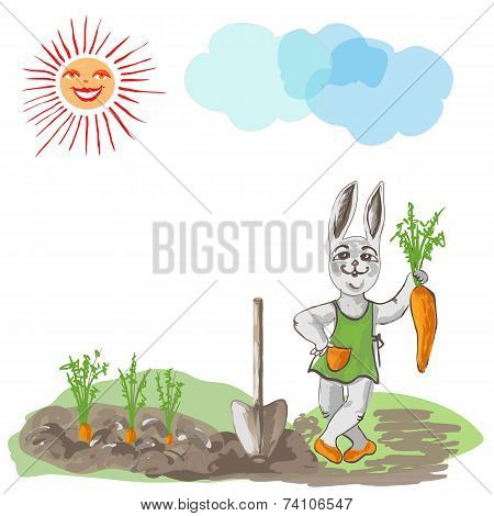 Happy Bunny.