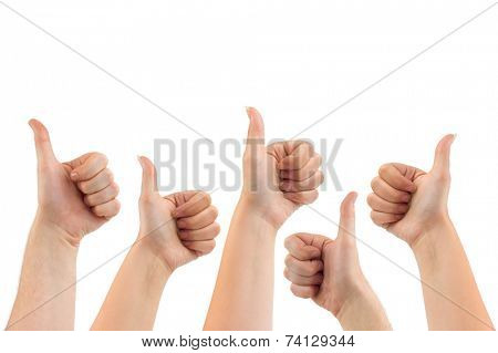 Gesturing hands isolated on white background