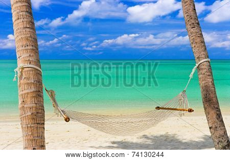 Hammock on a tropical beach - vacation background