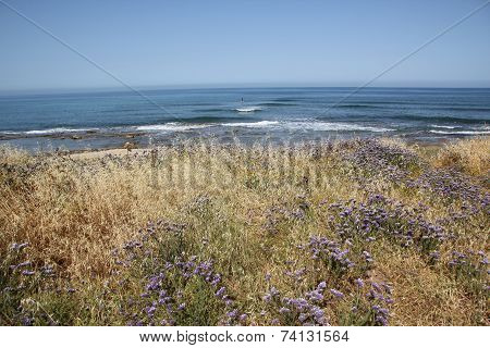 wild beach