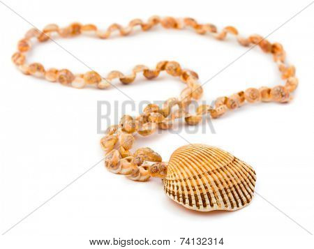 Necklace made of sea shell isolated on white background