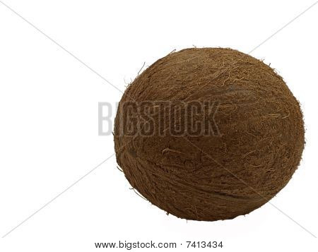 Coconut.