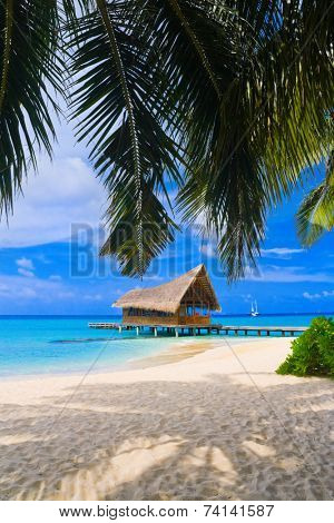 Diving club on a tropical island - travel background