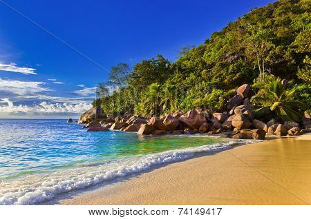 Tropical beach at evening - nature background