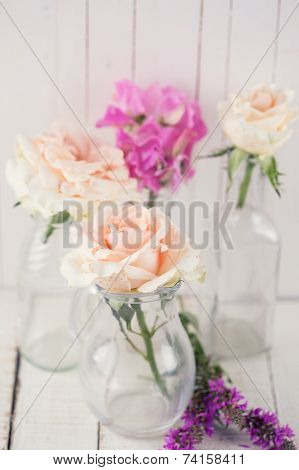Fresh Roses
