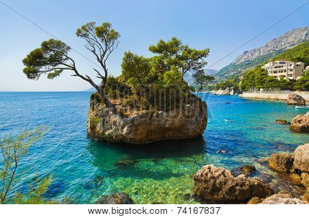 Island and trees in Brela, Croatia - nature vacations background