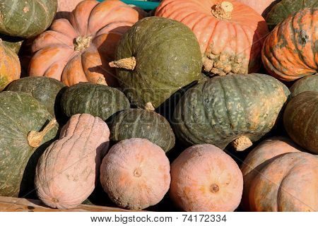 Big Orange Pumpkins And Green For Sale