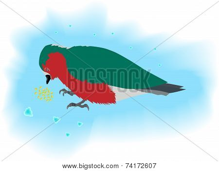 bird eating grain