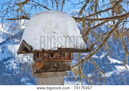Nestbox bird house - nature background