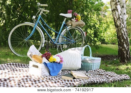 Old bicycle and picnic snack on checkered blanket on grass in park
