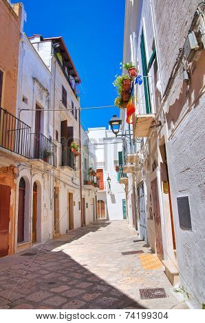 Alleyway. Fasano. Puglia. Italy.