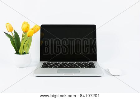 Laptop And Flower Pot Isolate