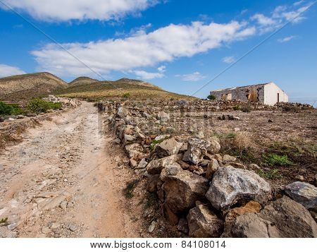 Tenerife. Canary Islands. Spain