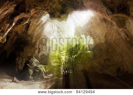Inside a limestone cave