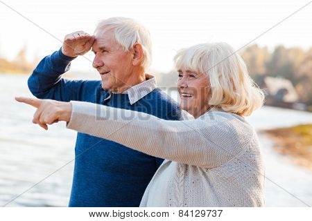 Look Over There!