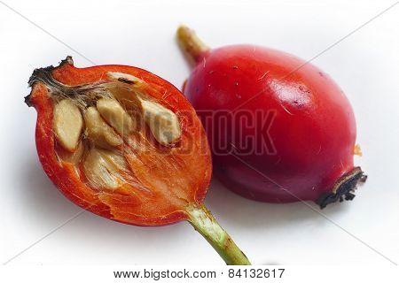 Rose Hip Cut In Two Halves, Close Up